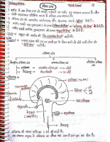 Biology Science Handwritten Notes(1).pdf